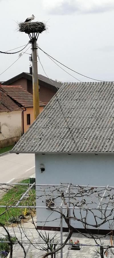 Bela Golobica Bogojina Villa Luaran gambar